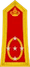 Général d'armée(القوات البرية الملكية المغربية)