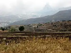 200612 Yemen-283 (354285666)