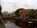 هاسلت