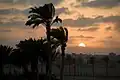 الغروب بمدينة العلمين.