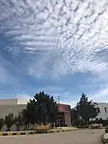 المدرج الكندي
