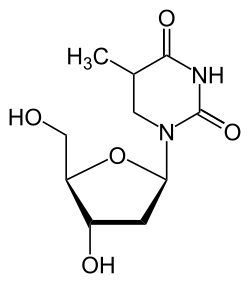 ثنائي هيدرو ثيميدين