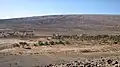 الزراعة اليوم