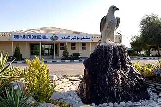 مستشفى الصقور