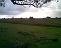 من المزارع المحيطة بمسة