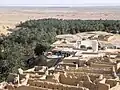 احتضان القرية للواحة