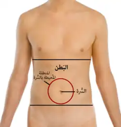 بطن