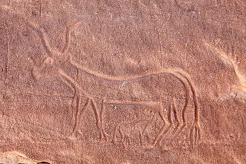 نقش بقرة ترضع عجلها