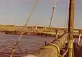 جزيرة أبو موسى