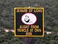 South Africa: lions, stay in car.