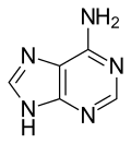أدينين