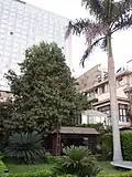 حديقة المتحف