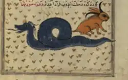 كائن المعراج والتنين من كتاب عجائب المخلوقات وغرائب الموجودات للقزويني مخطوطة والترز.