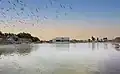 واحة البا