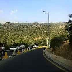 غابة رغدان