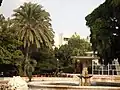 نافورة في وسط بحيرة البجع في الحديقة