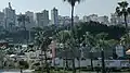 منظر عام