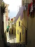شارع عادي في الفاما