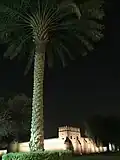 بجانب القلعة ليلا