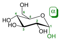 α-D-glucopyranose (تشكلات حلقي الهكسان)