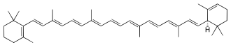 ألفا-كاروتين