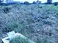 مربع ضحايا سجن سركاجي