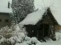 هُري في كرواتية