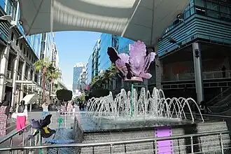 السوسنة السوداء في البوليفارد خلال الدورة الثانية لمهرجان عمان السينمائي الدولي