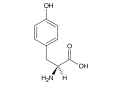 L-تيروسين(Tyr / Y)
