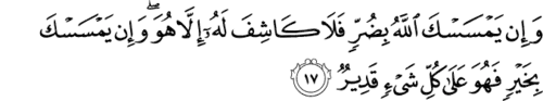 سورة الأنعام (6) آية 17