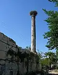 عش لطائر اللقلق على رأس عمود أثري قديم.