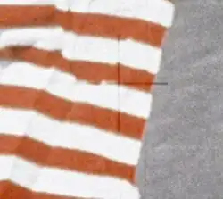 تقريب للعلم، يظهر المؤشر المتصالب الباهت.
