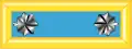 Lieutenant colonel