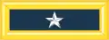 Brigadier general