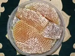 عسل السدر