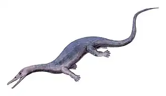 Askeptosaurus italicus