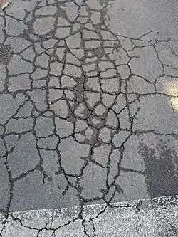 شقوق الكلل ظهور تسرب الرطوبة، علامة على ضعف بنية التربة أسفل الإسفلت المهترئ