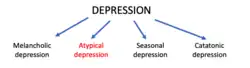 Depression subtypes