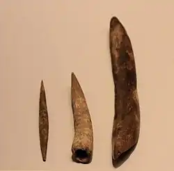 Aurignacian Culture bone tools (needdle, points and tools for punching holes), Hayonim Cave, 30000 BP.