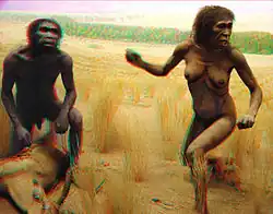 أسترالوبيثكس(قردة عليا من الميوسيني)