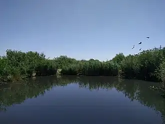 محمية الأزرق للأراضي الرطبة، بالقرب من الأزرق 18. وتشير الأدلة الحيوانية إلى احتمال وجود أرض رطبة مماثلة حول الأزرق.