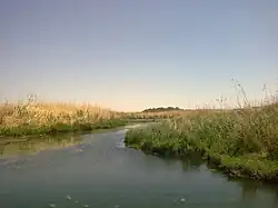 محمية الأزرق المائية