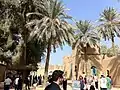 نخيل في مدينة بابل الأثرية بالعراق