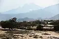 جبل نيس كما يظهر من وادي يحر