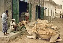 رجل يمني يربط إزاره. في بعض الأحيان يحتفظ الناس بالمال والأشياء الصغيرة الأخرى في ثنيات الفُوطَة.
