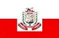 علم Irituia