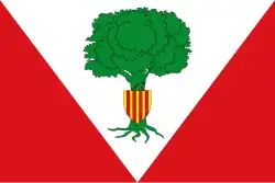 سانتيد