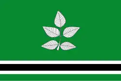 فيدرا (جرندة)