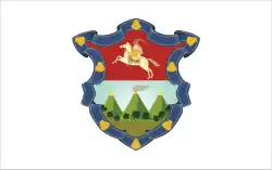 غواتيمالا (مدينة)