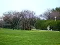 Parco 2 giugno